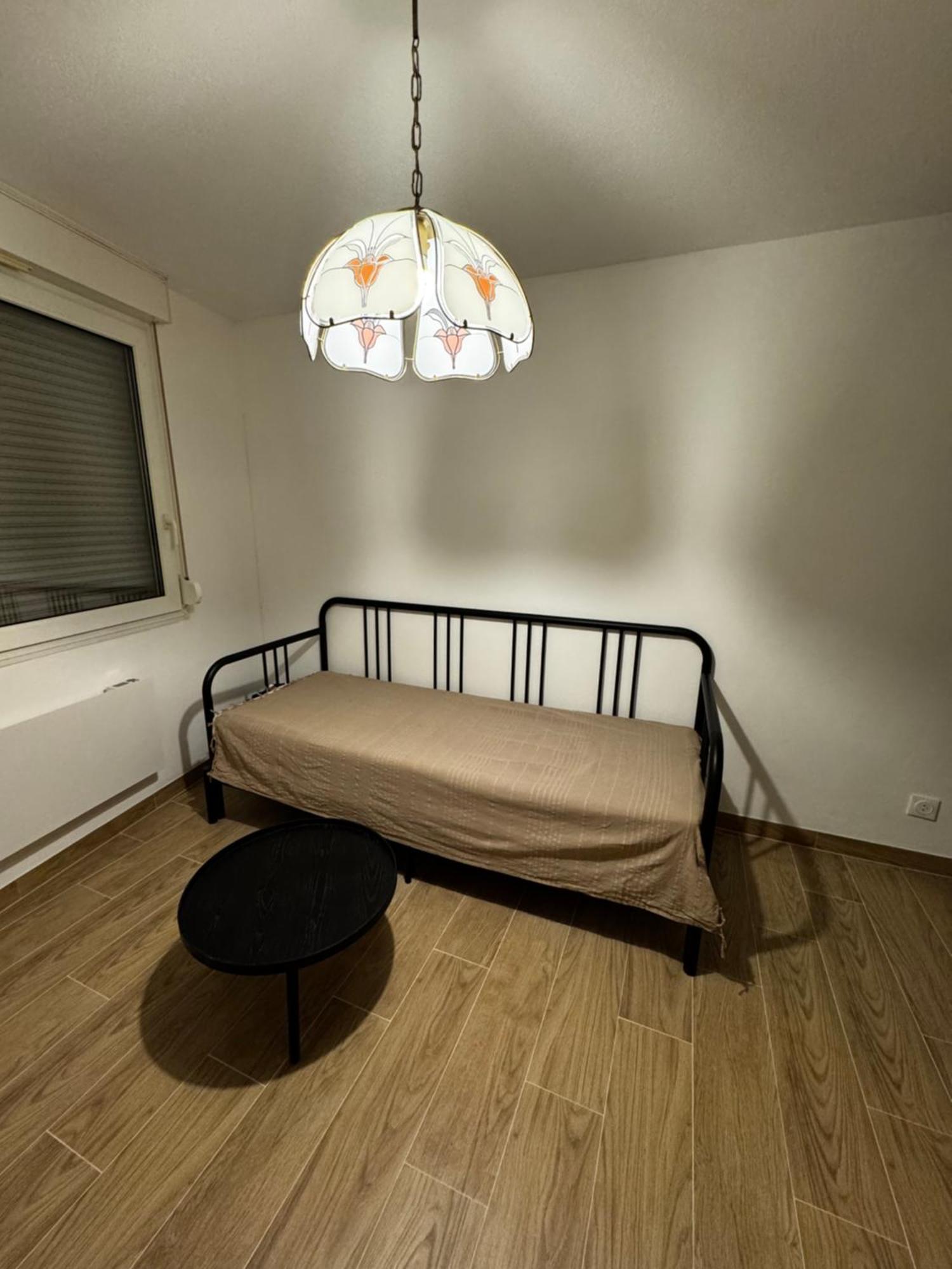 Le Sarsour Appartement Strasbourg Centre Eksteriør billede