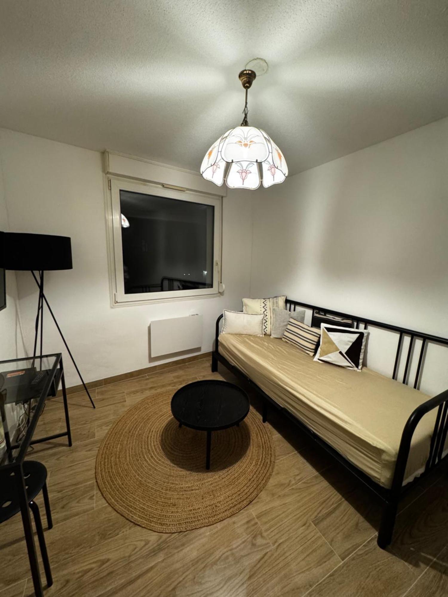 Le Sarsour Appartement Strasbourg Centre Eksteriør billede